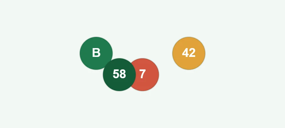 Cartella e palline numerate del Bingo